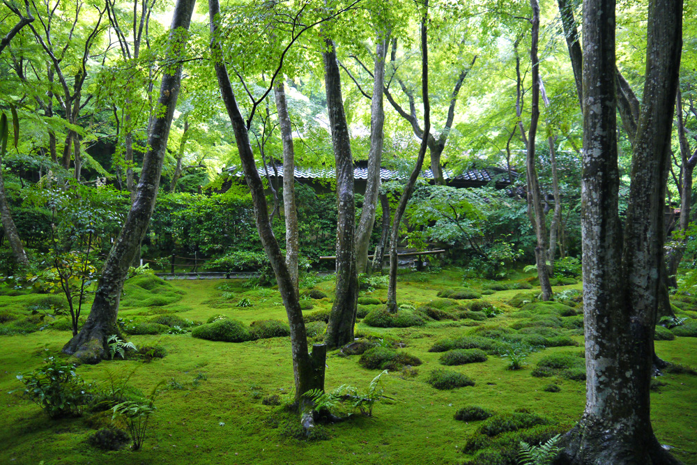 Hidden places in Kyoto – Historic sites, Culture and Walking