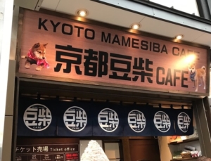 Kyoto Mameshiba Cafe Cute Shiba Inu Cafe Discover Kansai