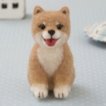 Mameshiba Puppy Sales - Breeder ONE 🐕